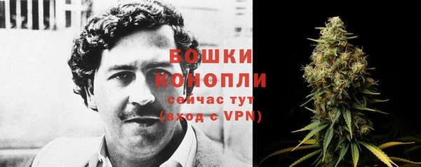 хмурый Медногорск