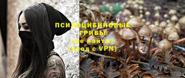хмурый Медногорск