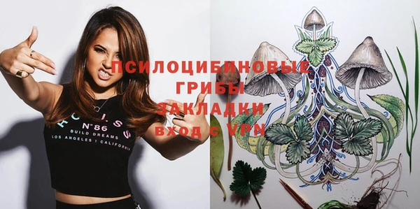 сатива Медвежьегорск