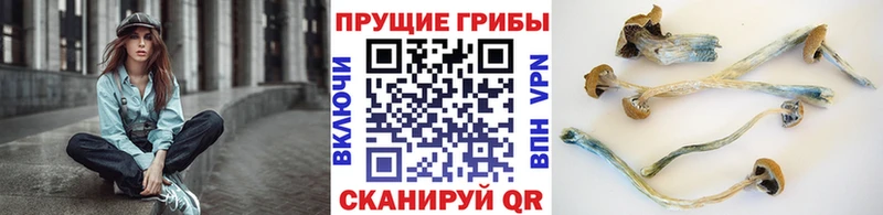 Купить Ухта Галлюциногенные грибы ЛСД