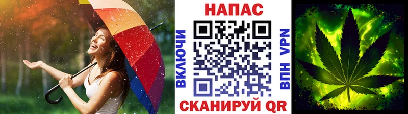 Канабис план Ухта